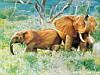 miniatura_10 copia